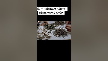 THUỐC NAM CHỮA BỆNH XƯƠNG KHỚP HIỆU QUẢ:0347941281