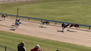 Mt-Gambier-02062017-Race-2