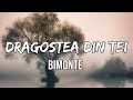 Bimonte - Dragostea Din Tei (Lyrics)