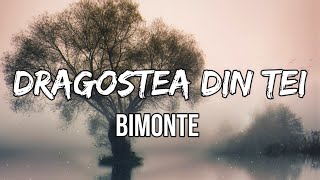 Bimonte - Dragostea Din Tei (Lyrics) Resimi