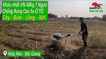 Máy Xới Đất Siêu Chống Rung Kachita Làm 2 Mẫu Ngô Đất Cứng Gốc Khô Tại Hiệp Hòa Bắc Giang