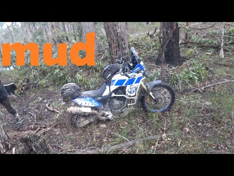 Sand and Mud on a flock of T7's