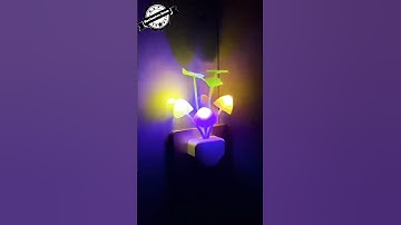 Mushroom 3D LED Light Sensor Lamp #online @yusracollectionshop