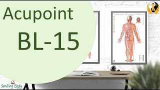Acupoint BL 15