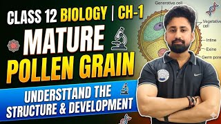 Pollen Grain ,Mature Pollen Grain, Biology, Class 12th, NEET, Chapter 1st 