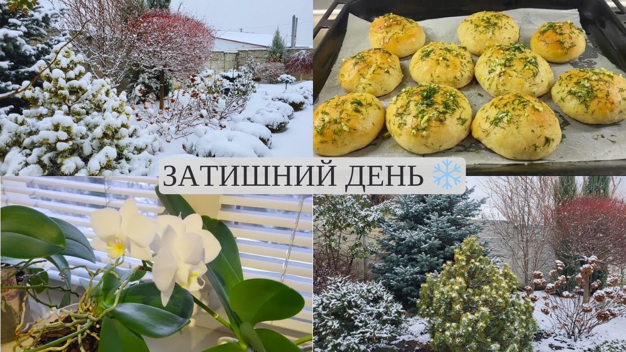 Запоріжжя🌿 Пампушки, кімнатні рослини і серіал Твін Пікс