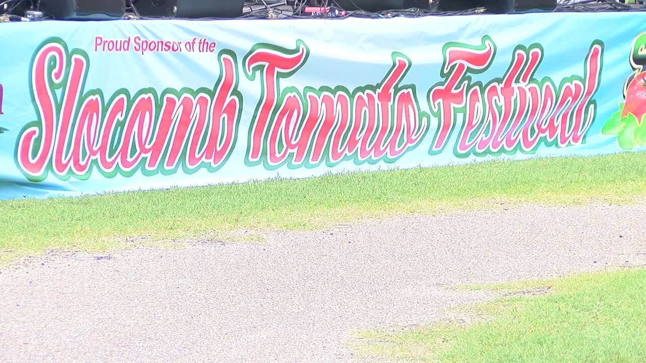 TOMATO FESTIVAL YouTube