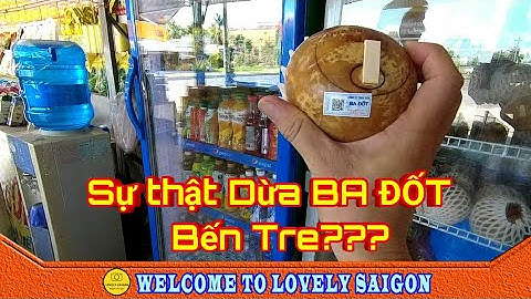 Về BẾN TRE uống thử DỪA NƯỚNG BA ĐỐT và sự thật là gì? ✔️ Lovely saigon