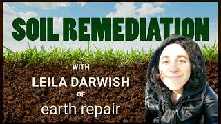 Soil Remediation: Working with Plants, Bacteria & Fungi to Detoxify & Regenerate Soil -Leila Darwish