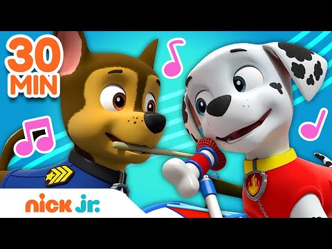 PAW Patrol 30 Minute Sing Along Song Compilation! 🎵 | Nick Jr.