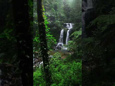 Beautiful view😍 #nature
