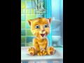 Gatito Cantando Mi Pollito Amarillito
