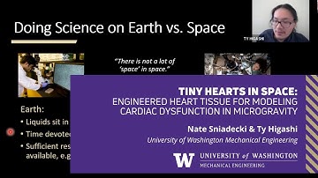 Tiny Hearts in Microgravity - Nate Sniadecki & Ty Higashi (University of Washington)