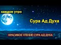 🎧КАЖДОЕ УТРО  Сура Ад Духа  Красивое Чтение Сура Духа