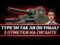 КЛУМБА БЕРЕТ 3 ОТМЕТКИ НА TYPE 5H. "УНЫЛЫЙ ТАНК"