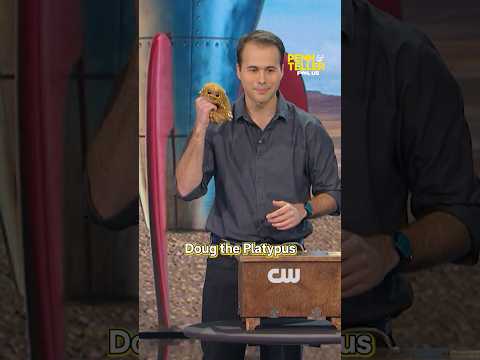 Magic Platypus Pennandteller Magic Magician