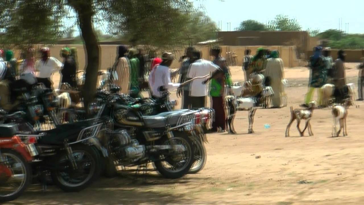 burkina Faso - Gorom Gorom market day - 2012 july