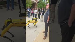 Boston Dynamics: See Spot Run, Meet Spot the robotic dog and learn about entrepreneurism