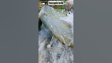 Prioritizing Truth Over Public Opinion quote #shortsvideo #shortvideo #philosophical