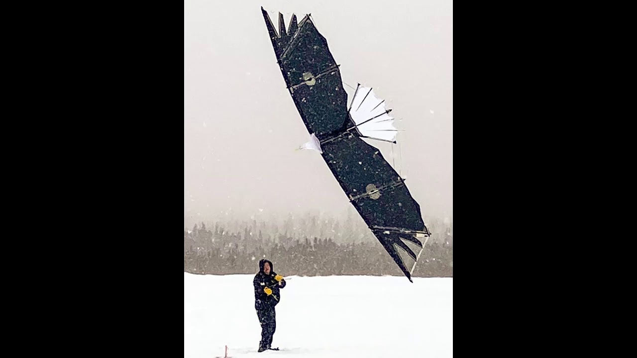 Revolution Kites new Eagle makes it's debut in Anchorage Alaska YouTube