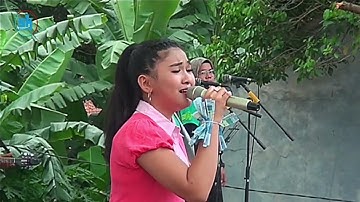 VELA ZALADARA - SESAL
