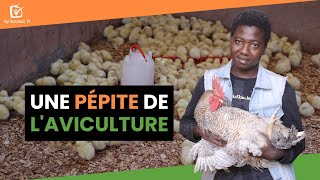 Burkina Faso : Une pépite de l’aviculture