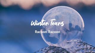 〄 Winter Tears - Racoon Racoon