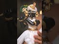 Shri Radharaman Prakat Utsav 2026 ✨ | Vrindavan Darshan | Dark Passport #shorts