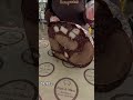 Заглядывайте на дегустацию. Такой только в Сало &amp; Мясо.