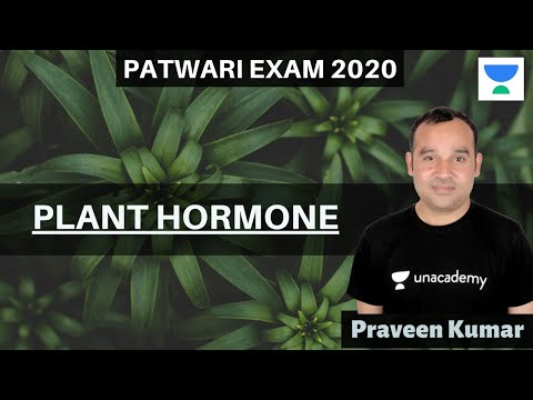 Plant Hormone | Biology | Target Patwar Exam 2020 | Praveen Kumar
