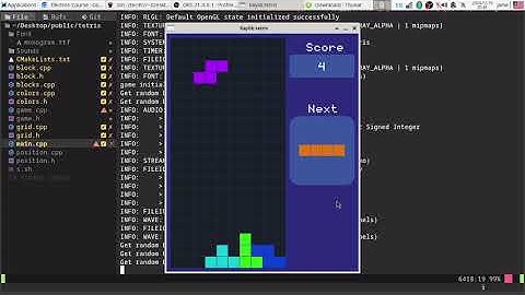 Raylib Tetris Game