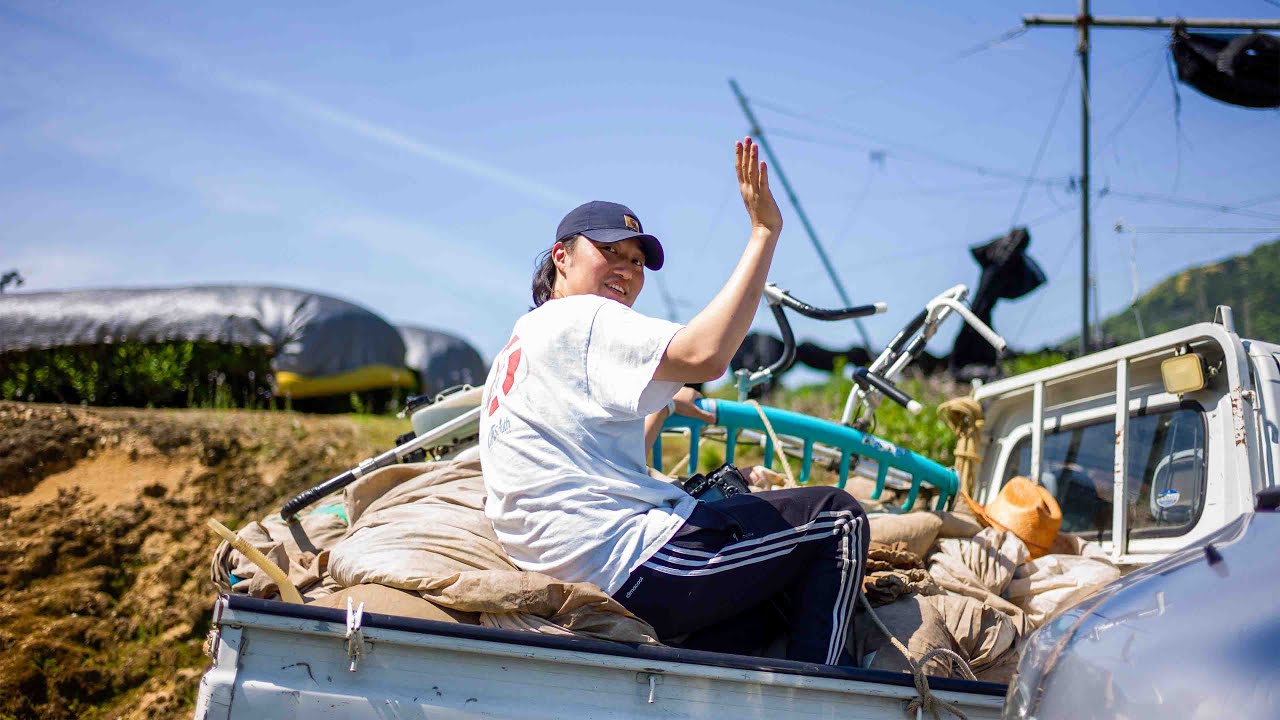 Living on a Japanese Tea Farm for a year!