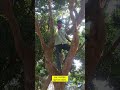 #funnyvideo #comedy #ekmotahathighumechala #shortvideo #funny #gameskhelkarpaisekai