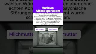 Harlows Affenexperiment