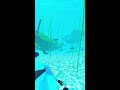 playing Sharks go  1900