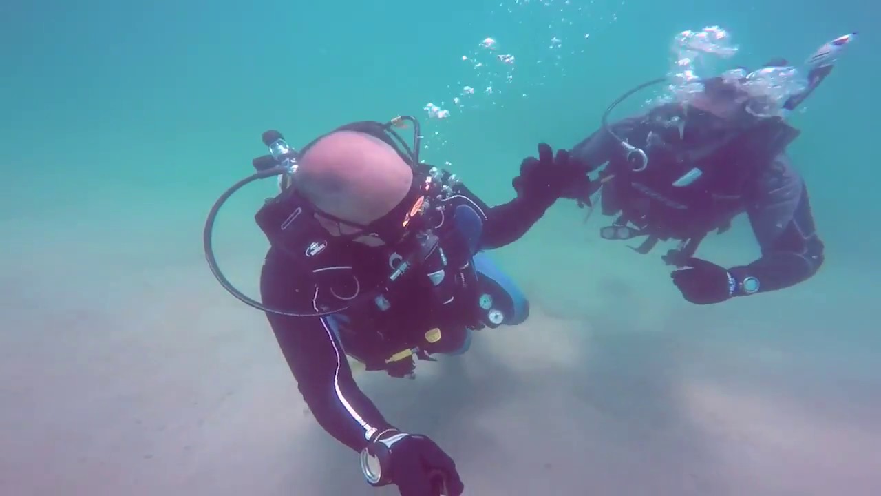 NCR New Club Reef - Sealine Beach