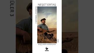 Neşet Ertaş - Kaşların Karasına