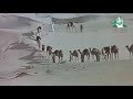 حنا العرب يامدعين العروبة حنا العرب يامدعين العروبة