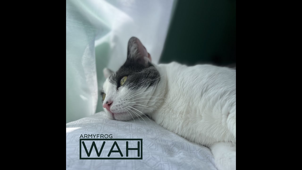 Watch Wah | ArmyFrog (Official Audio) on YouTube Watch Wah | ArmyFrog (Official Audio) on YouTube