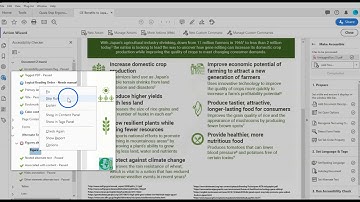 Adobe Acrobat Pro DC: Using the Accessibility Checker
