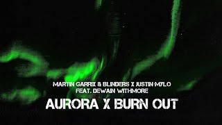 Martin Garrix / Blinders / Justin Mylo / Dewain Whitmore - Aurora / Burn Out (LYNX Mashup)
