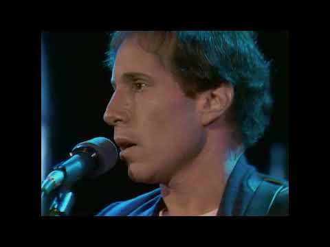 Simon & Garfunkel Concert In Central Park - Stage Crasher