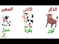 تعلم أسماء ذكور وإناث وصغار وأصوات الحيوانات باللغة العربية