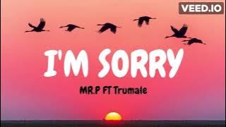 Am sorry- MR President ft Trumel (VIDEO LYRICS)