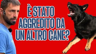 E' stato aggredito da un altro cane? by Empathy Dog 1,388 views 9 months ago 5 minutes, 23 seconds