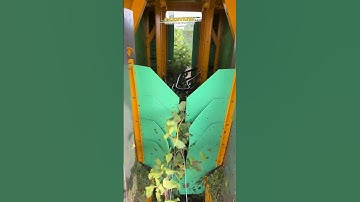 How Does a Grape Harvester Work? | Inside a Mechanical Grape Harvester | Gregoire GT3