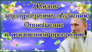 Трехлебов А.В. #19 Жизнь это программа обучения. Отношение к жизненной программе.