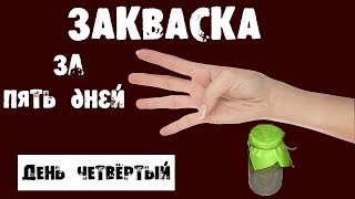 Самая первая закваска для хлеба! День четвёртый!