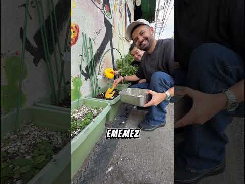 Yumurta Kabuğu Böyle İşe Yarar! 😳🥚🌱