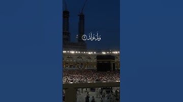 من سورة الإخلاص  || القارئ عبد الرحمن مسعد 🤍 #لايك #اكسبلور #explore #عبدالرحمن_مسعد #tbt #آية #duet